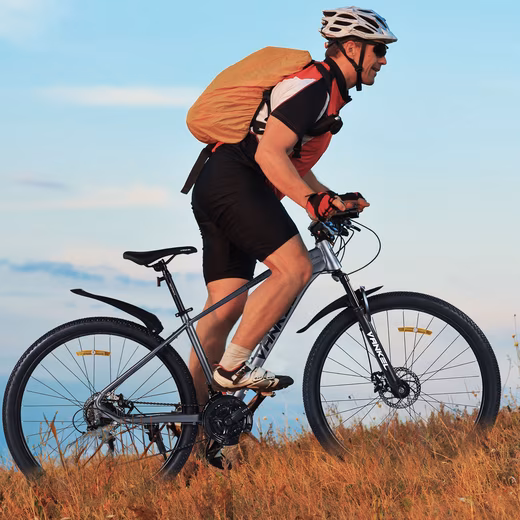 Mountain Bike 29 Inch MTB for Women and Men, Shimano 21 Speed - Image 19