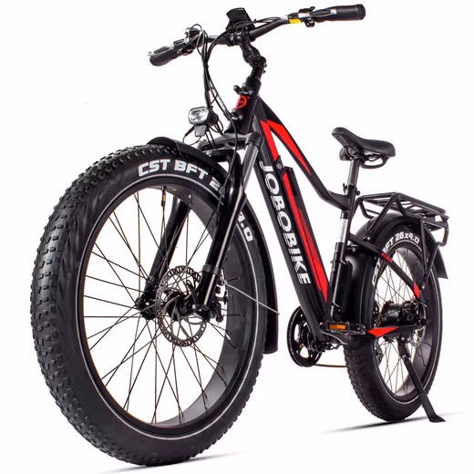 E-Bike Mountain Bike 26x4 Inch for Women and Men, Robin Mountain Bike 624Wh, max. 100km