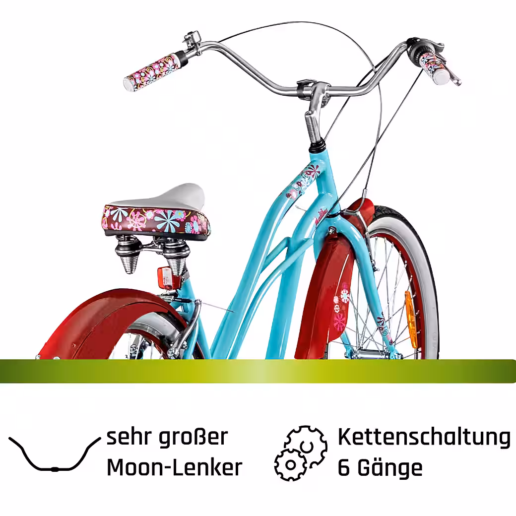 Cruiser Malibu 6-speed, derailleur gears, beach cruiser, from 150 cm, retro bicycle, 6-speed women's bicycle - Image 9