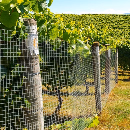 Galvanized wire mesh for aviaries, 4 sizes, wire fence, wire mesh, wire Mesh size: 12.7 mm