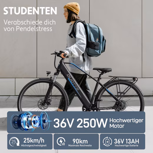 E-Bike City Bike C29 Lite 250W Motor 90km Women City Bike 468Wh Shimano 7-Speed Men - Image 5