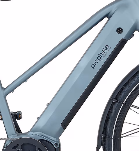 E-Bike Trekking Bike Explorer 3.8 - Image 12
