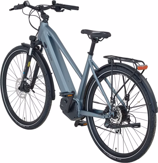 E-Bike Trekking Bike Explorer 3.8 - Image 4