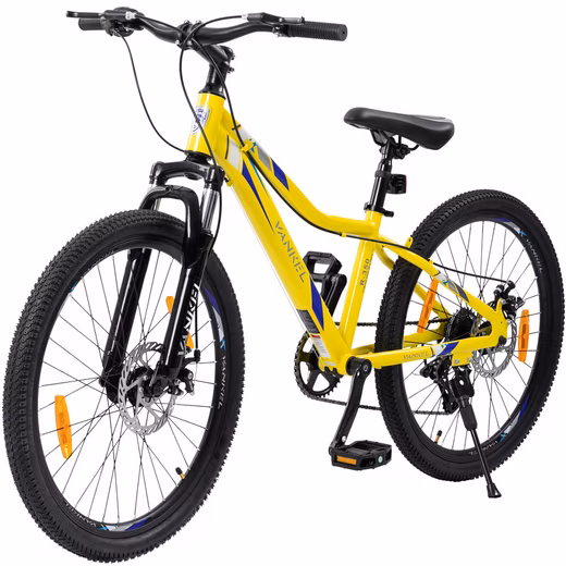 Little Bee 24-inch MTB mountain bike – suspension, 6 gears and powerful brakes