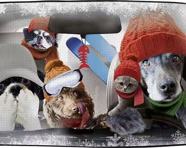 OKCars car cover, windshield cover for winter, for dogs