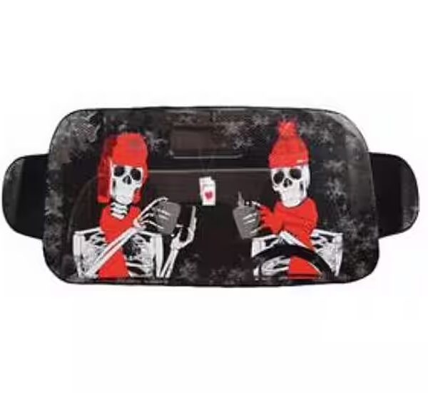 OKCars car cover, windshield cover for winter