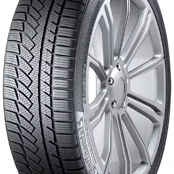Winter tires TS-850P