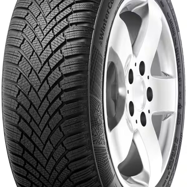 Winter tires TS-860 1 piece, available in various designs