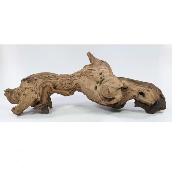 Aquarium Mopani Root Ironwood Root Aquarium various. Sizes S-XL