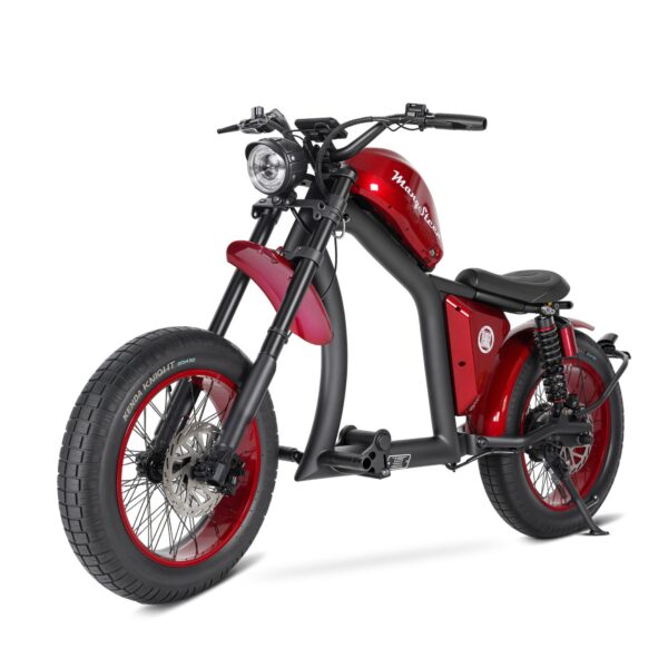 E-scooter FT02-EEC 48V 1000W motor 30AH 45km/h Up to 75km