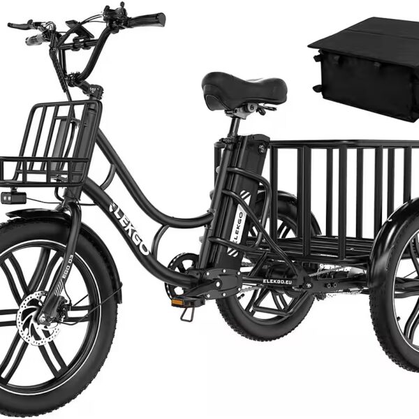 E-bike tricycle 20*3.0 inch E-tricycle Cargo with 48V18Ah battery cargo bike