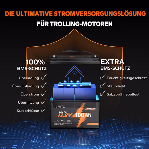 12V 100Ah TM LiFePO4 Battery Boat Battery with Low Temperature Protection Solar Rechargeable Batteries - Image 10