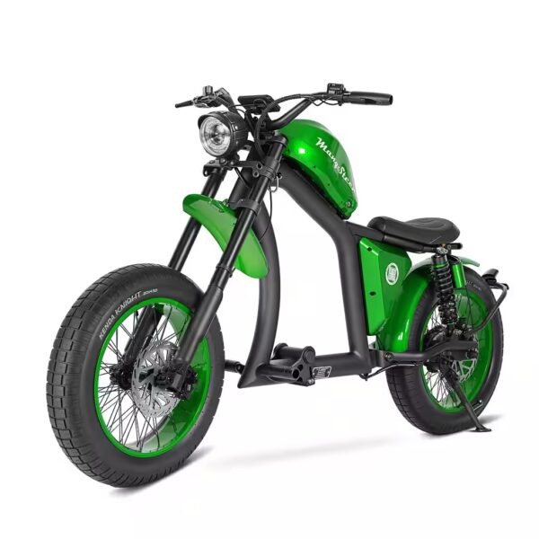 E-scooter FT02-EEC 48V 1000W motor 30AH 45km/h Up to 75km