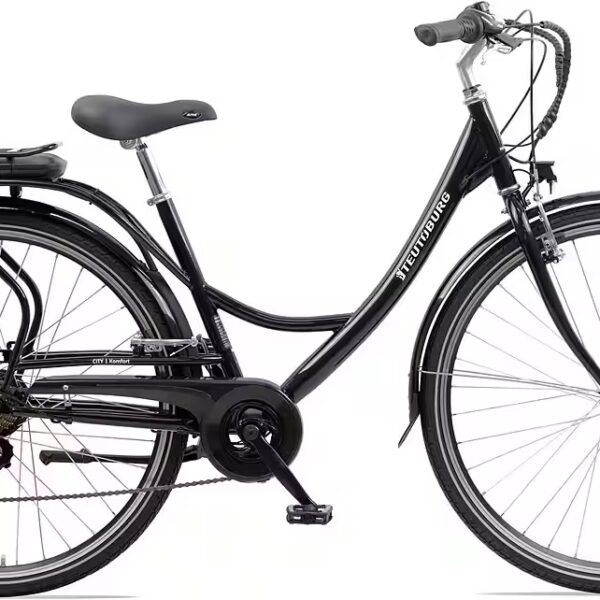 E-bike City bike Senne