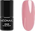 Starter Set Essentials, 1 pc - Image 2