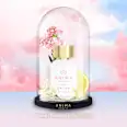Dream by Lola Eau de Parfum, 40 ml - Image 4