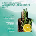 Summer Daydream For Him Eau de Toilette, 50 ml - Image 9