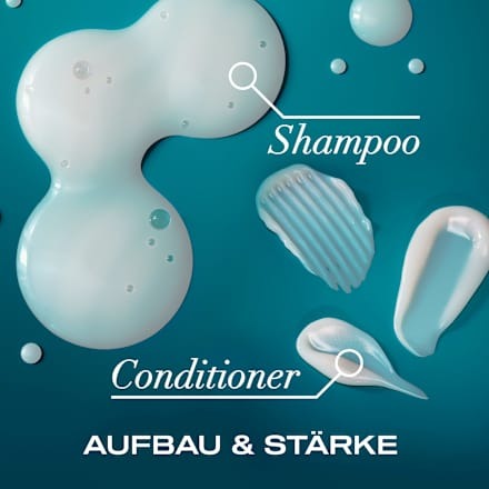 Conditioner renewing, Argan Oil of Morocco, 385 ml - Image 3